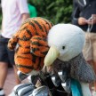 LionsGolf2014_018.jpg