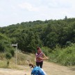 LionsGolf2015_173.jpg