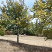 LionsGolf2019_062.jpg